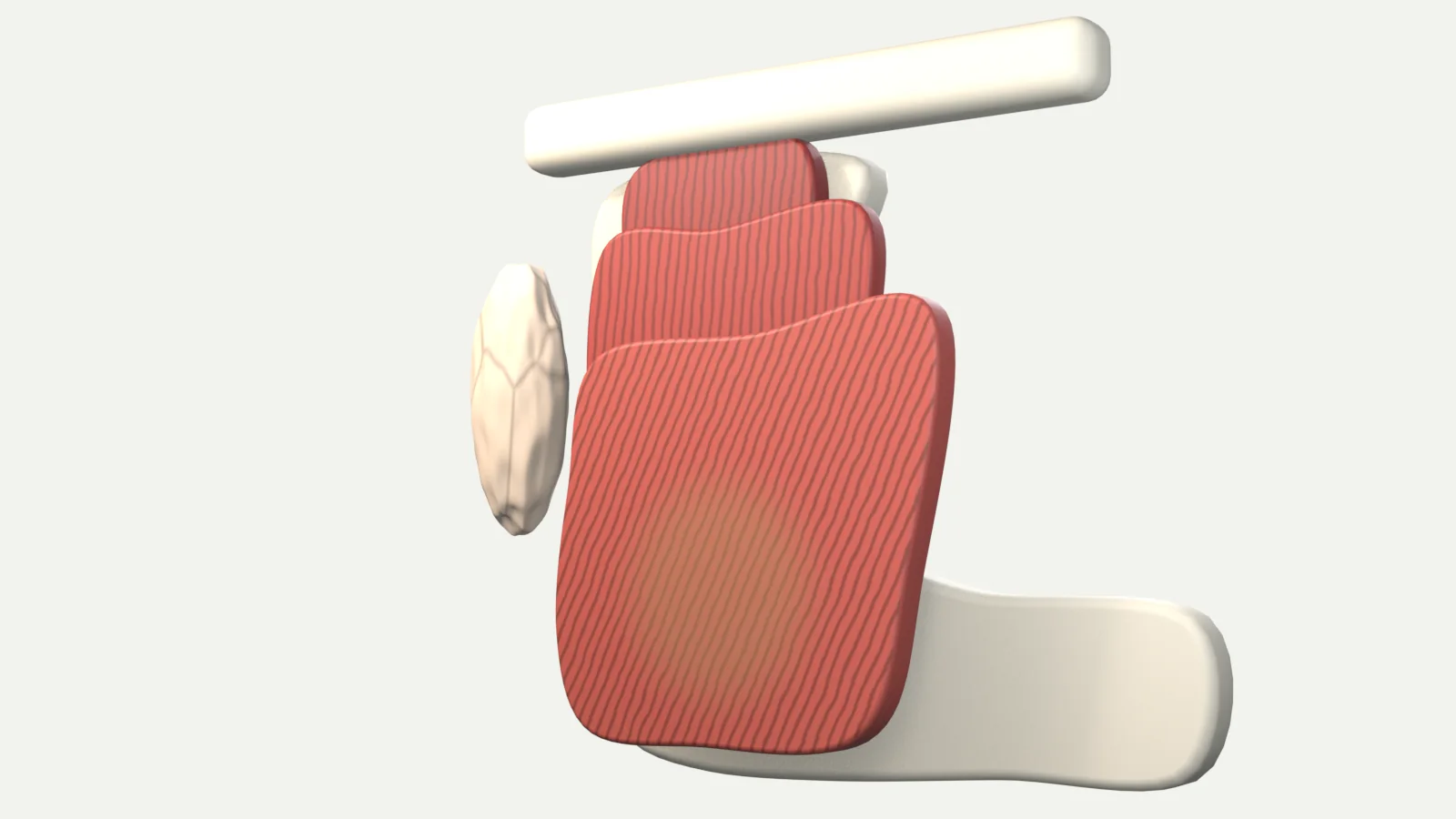 Model of the side of the jaw showing the masseter muscle in three layers over the jawbone, with the lower middle part of the outer layer shaded