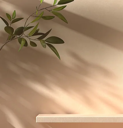 SKINVIVE ที่กรุงโซล